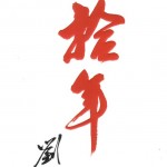 十年 的封面