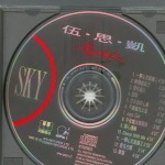 爱的过火 的封面