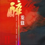 醉发烧Ⅱ 的封面