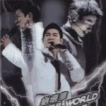 Wonderful World 香港演唱会 2007