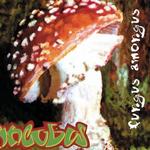 Fungus Amongus