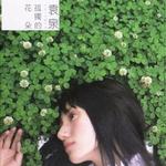 孤独的花朵 精选版