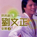 闪亮岁月 刘文正全集2