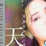 邓丽君极品之选 的封面
