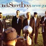 Never Gone