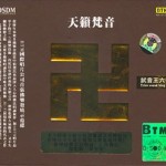 天籁梵音 的封面
