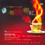 粤烧粤红 的封面