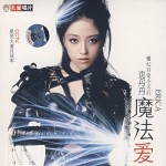 魔法爱 的封面