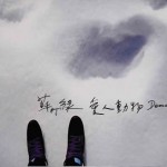小巨蛋演唱会 - 陪我歌唱 (预购赠礼:爱人动物 Demo) 的封面