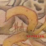 刺青 电影音乐概念专辑