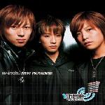 NEW PARADISE 的封面