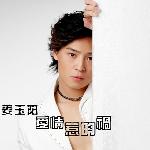 爱情惹的祸 的封面