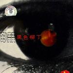 黑色柳丁 的封面