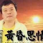 黄昏思情 的封面