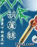 月光下的凤尾竹(傣族风情葫芦丝演奏) 的封面