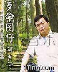歹命囝仔 的封面