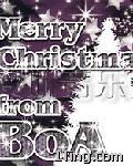 Merry Christmas From BoA 的封面