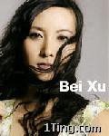 Bei Xu同名专辑 的封面