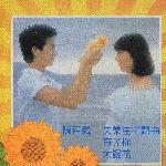太阳花 的封面
