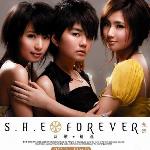 Forever (新歌+精选) 的封面