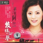 遇见阿兰 的封面