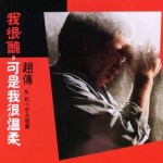 我很丑,可是我很温柔 的封面