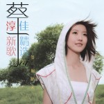 等一个晴天 新歌+精选 的封面