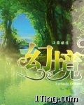 幻境 的封面