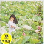 情字这条路 的封面