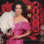 情尽夜上海回忆录 的封面