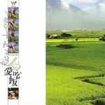 爱吃饭