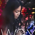 Wax Vol.6 왁스 (Wax) 6집 - 사랑이 다 그런거니까