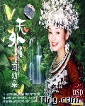 天外苗音 的封面