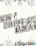 飞图20周年纪念精选大碟 的封面
