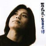 坚固柔情 的封面