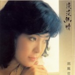 淡淡幽情 的封面