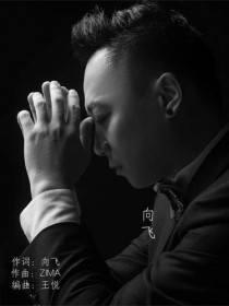 向飛