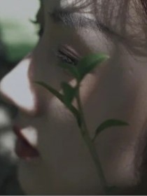 張篩子
