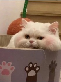 我是小力氣