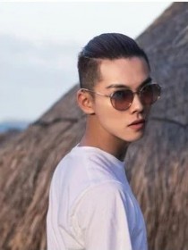 王近禎