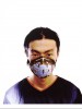 Shing02