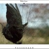 Passenger The Last Unicorn 試聽