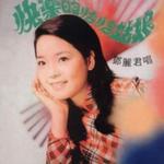 梅.憶錄_歌衫淚影