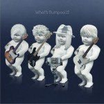 What's flumpool!?詳情