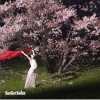 Sunset swish さくらびと(Instrumental) 試聽