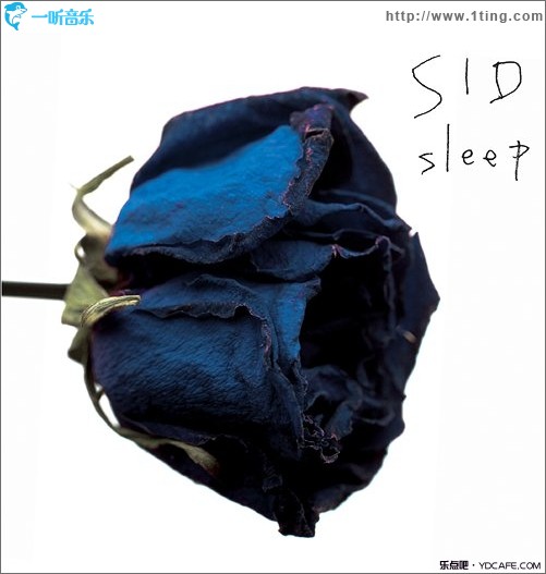 Sleep