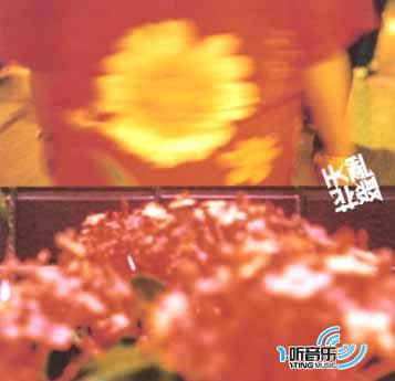 天花亂聚-我們都唱達明一派