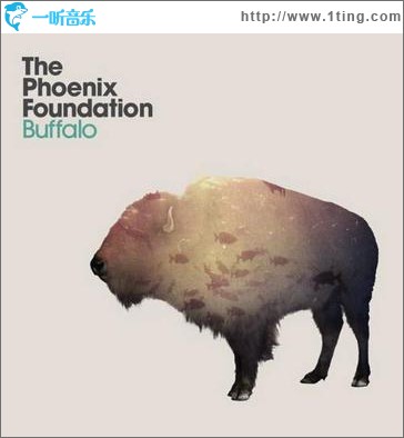 Buffalo