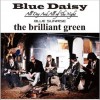 The Brilliant Green Blue Daisy 試聽