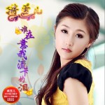 誰在意我流下的淚詳情